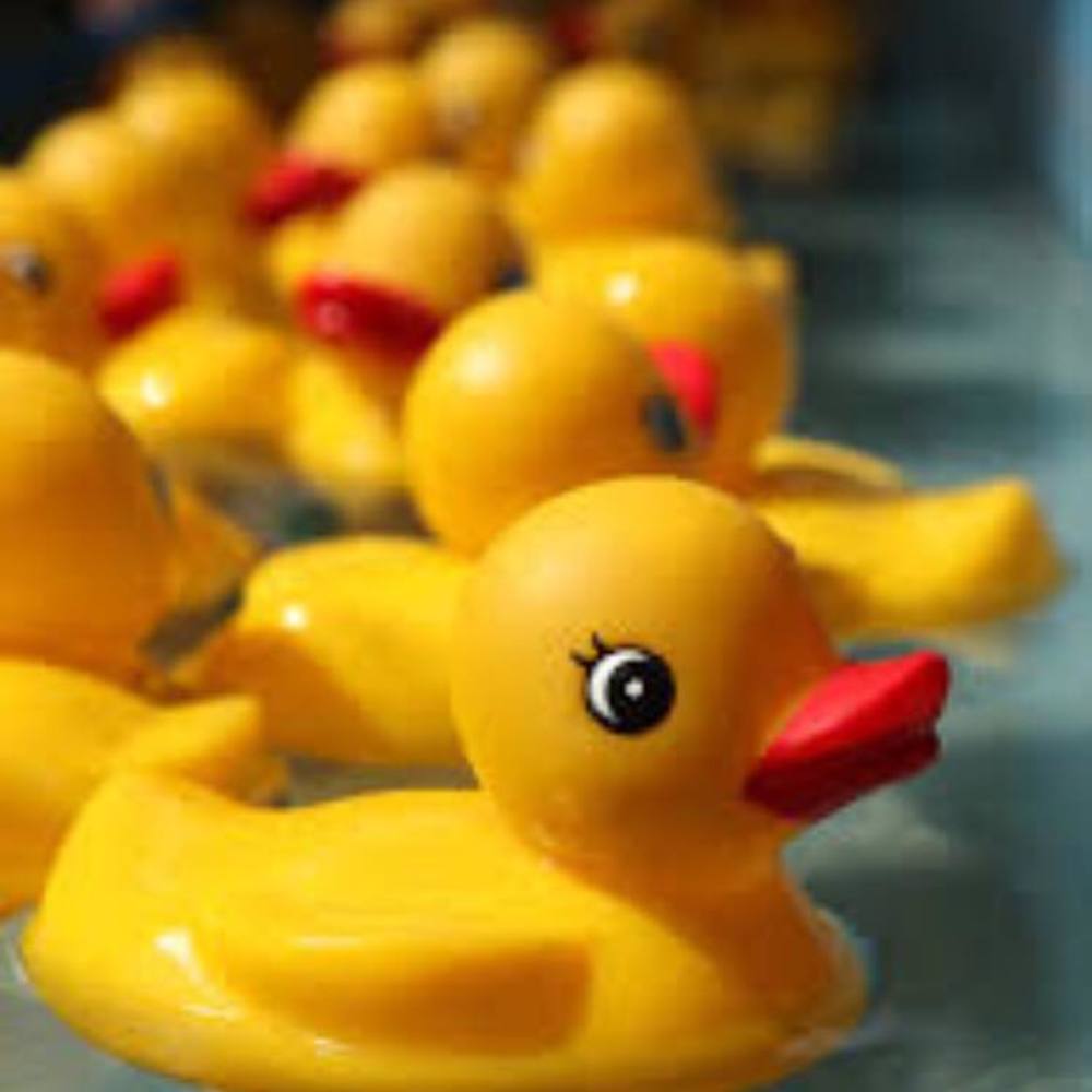 Meet your Posher, Joy